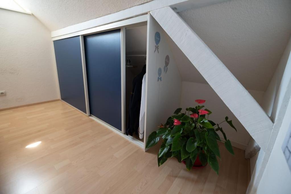 Gite Les Lavandieres Saasenheim Exterior foto